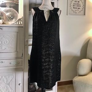 Little Black Dress •STEVE MADDEN•